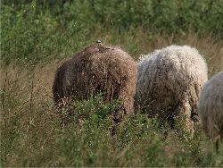 Fam. Hoedl GmbH in Wittau Fam. Hoedl GmbH in Wittau