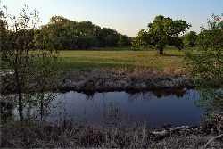 Fam. Hoedl GmbH in Wittau