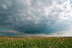 Fam. Hoedl GmbH in Wittau