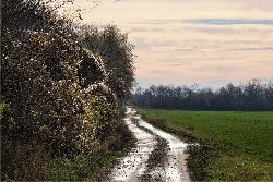 Fam. Hödl GmbH in Wittau Fam. Hödl GmbH in Wittau