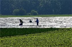 Fam. Hoedl GmbH in Wittau