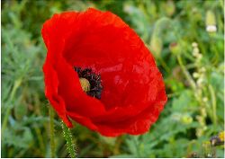 Fam. Hoedl GmbH in Wittau