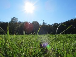 Fam. Hoedl GmbH in Wittau