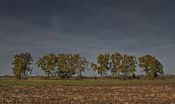 Fam. Hoedl GmbH in Wittau