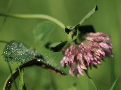 Fam. Hoedl GmbH in Wittau Fam. Hoedl GmbH in Wittau