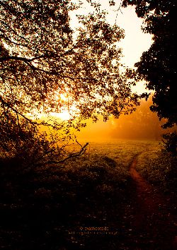 Fam. Hoedl GmbH in Wittau